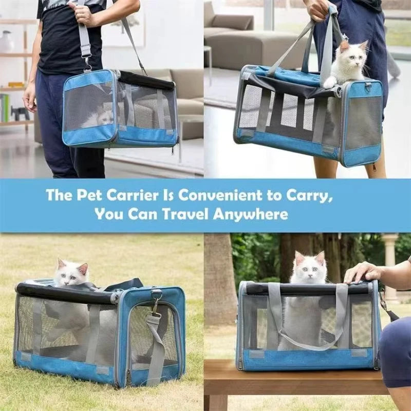 Sac de transport pour chien et chat, portable, en maille respirante, pour l'extérieur, à bandoulière, accessoire pour chat 