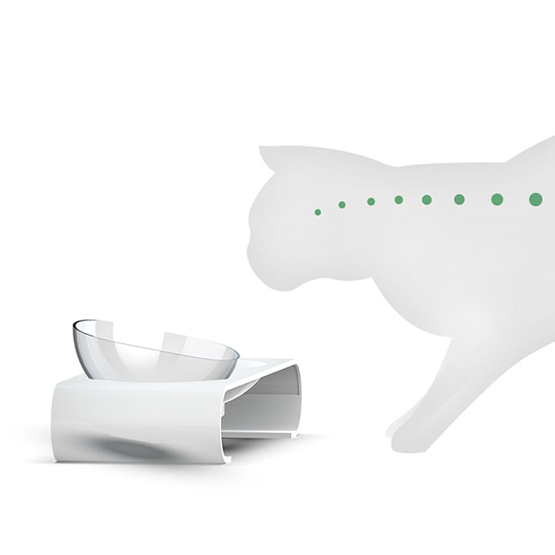 Cat Bowl — Ceramic Selection
