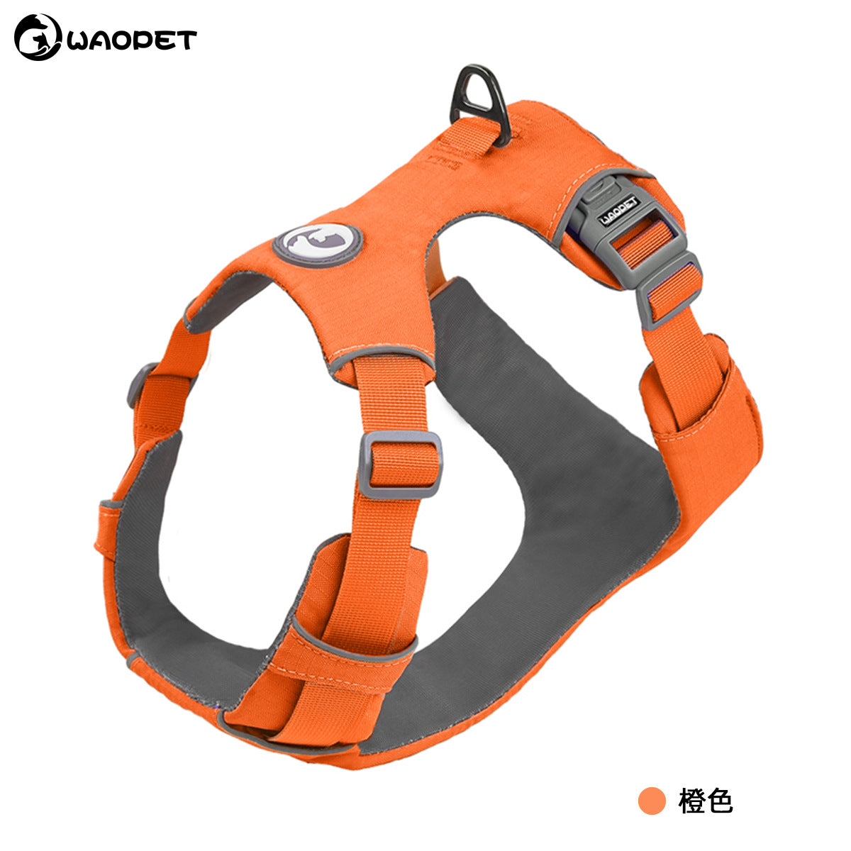 Dog Harness blue texture close-up TPS