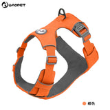 Dog Harness blue texture close-up TPS