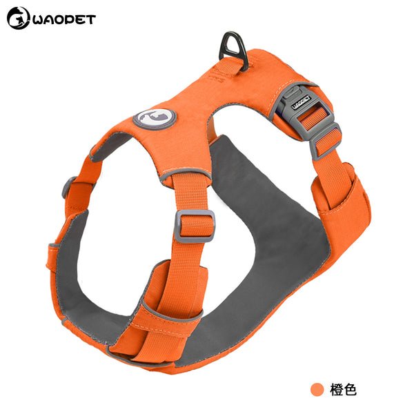 Dog Harness blue texture close-up TPS