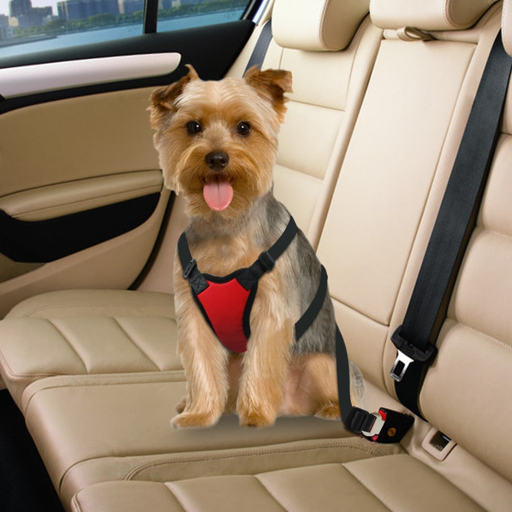 Dog Seat Belt — Black Edition, angle 3 — The Pet Society
