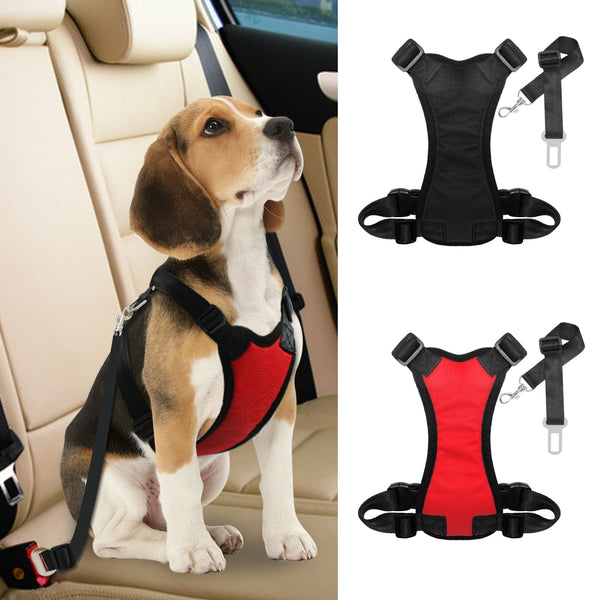 Dog Seat Belt black three-quarter view TPS