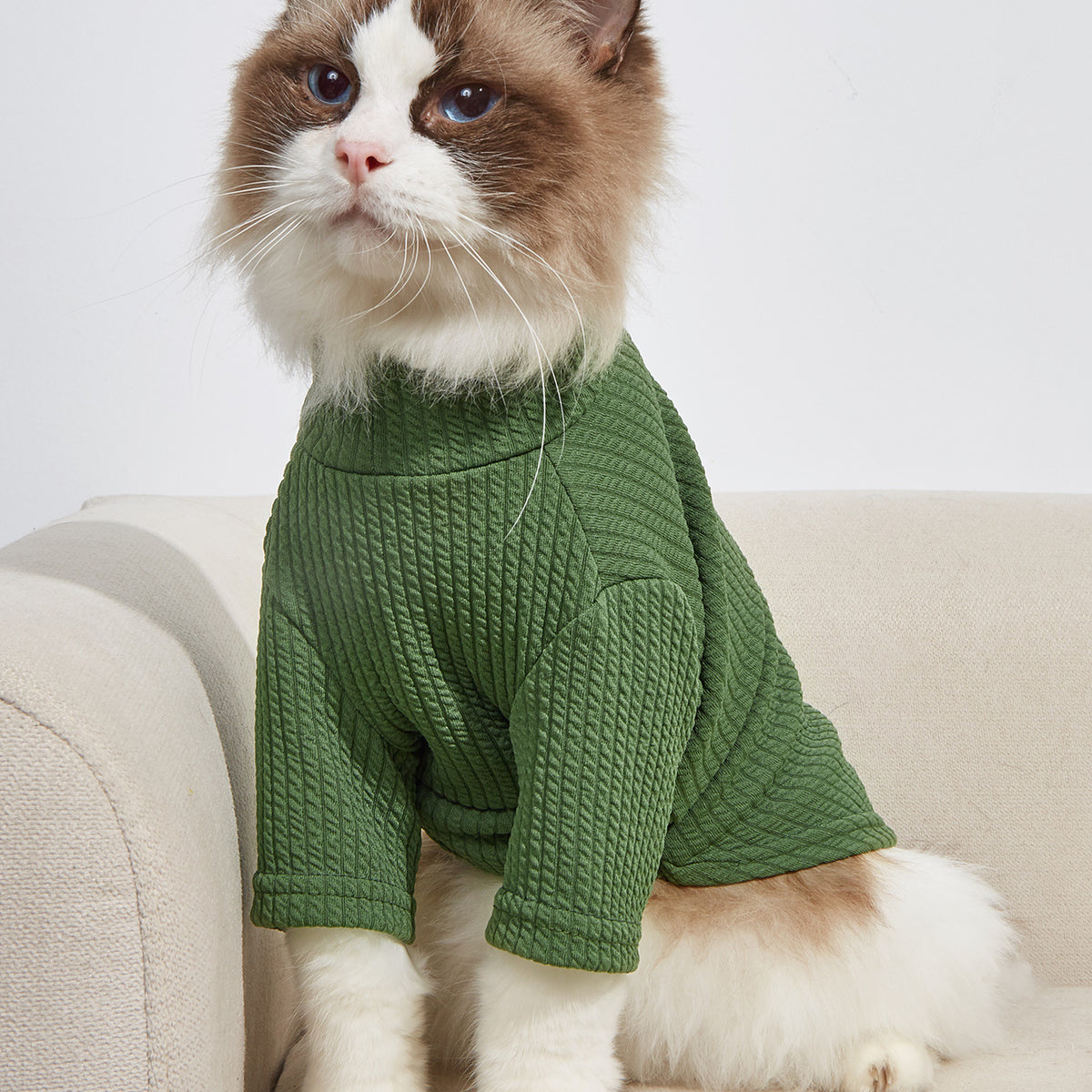 Pet Summer T-Shirt — Plaid Edition