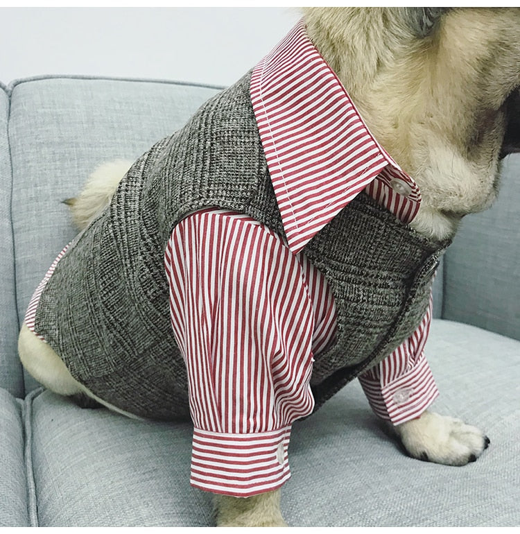Pet Apparel black texture close-up TPS