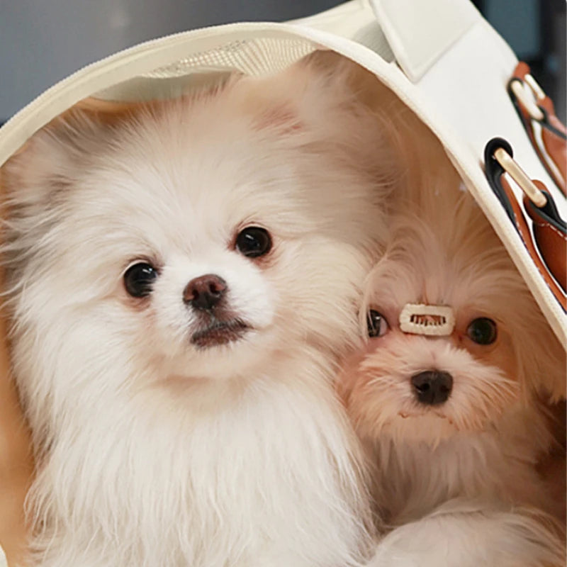 Pet Cat Bag Portable Carrier Travel Breathable Leather Handle Carrying Bag Handbag Canvas Bag Airline Approved Small  Pet Travel