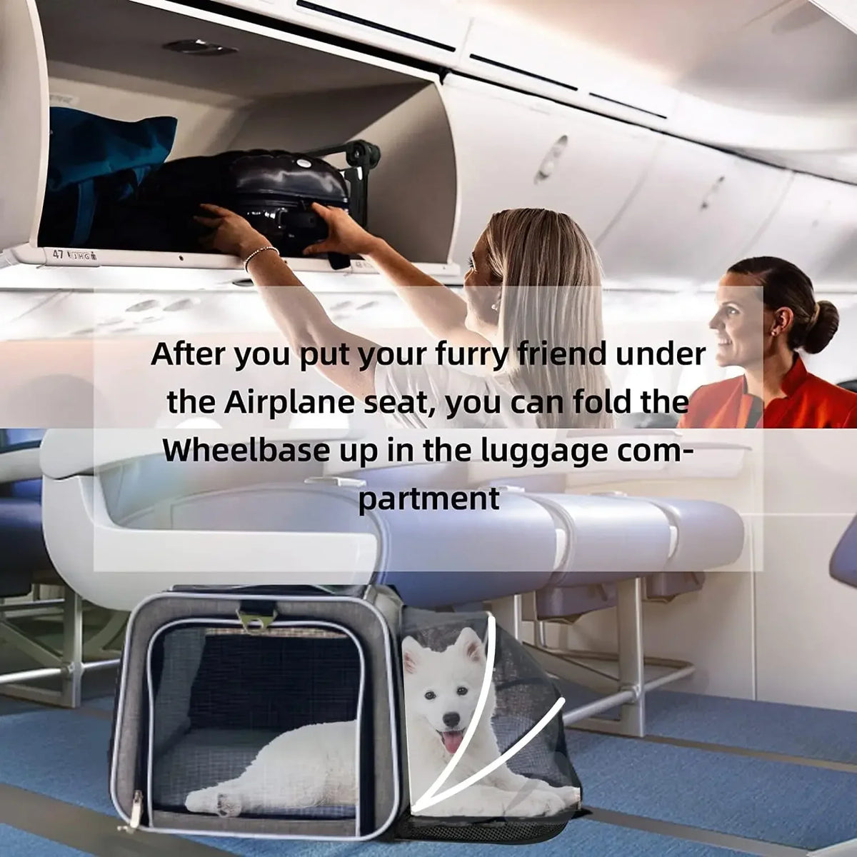 Sac de transport extensible pour animaux de compagnie sur roues, approuvé par les compagnies aériennes - Sac de transport extensible à roulettes sur deux côtés - Conçu pour les chiens et les chats - Extra
