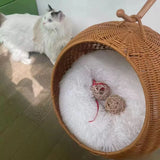Cane woven cat bed handmade house nest for dogs and cats, perfect for swing sleeping and hanging. Ideal pet supplies.