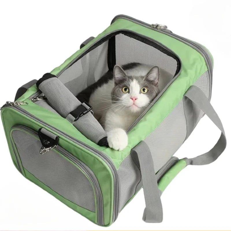 Sac de transport pour chien et chat, sacoche de transport portable pour chiots et chats, accessoire d'extérieur, en maille respirante 