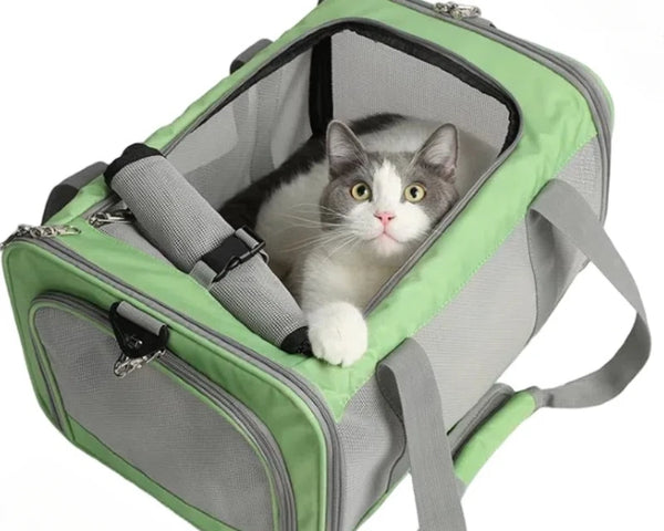 Dog Pet Bag Travel Carrier Cat Portable Dogs Outdoor Puppy Shoulder Bags Cats Supplies Carrying Handbag Breathe Mesh Protector