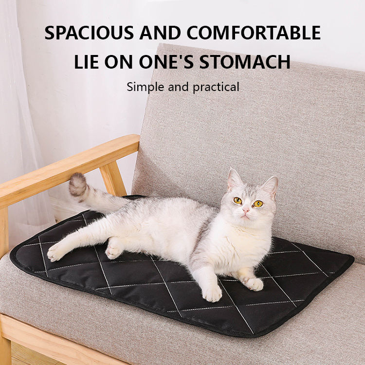 Cozy cat resting on a black Dog Bed Cover Anti Tearing and Biting Pet Blanket for Couch Sofa Bed Mat Anti-Slip Dog Mat Pet Pad.