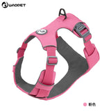 Dog Harness blue full view light background TPS