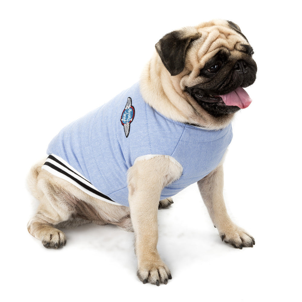 Classic Baseball Cotton Pet Coat — Winter Edition