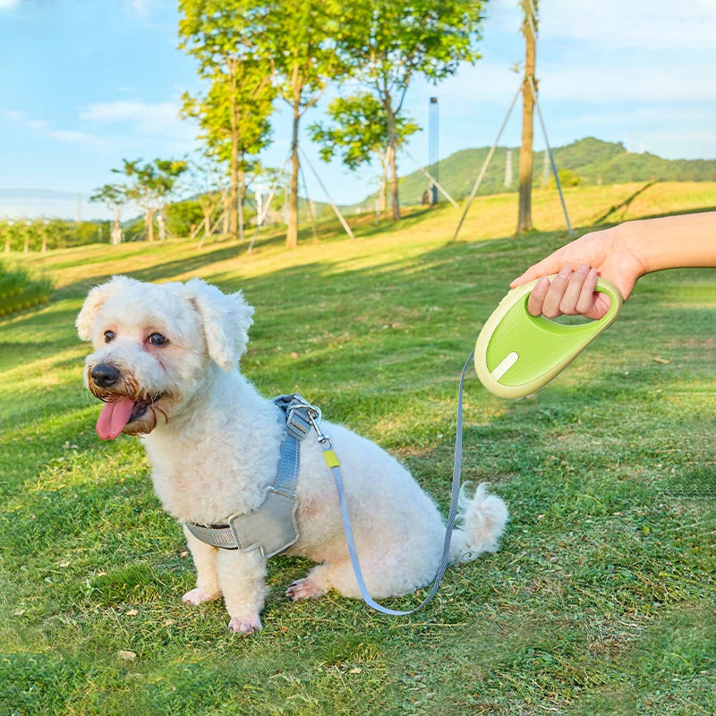 Dog Harness green in-use scene TPS