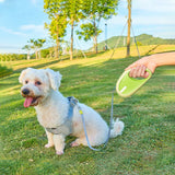 Dog Harness green in-use scene TPS