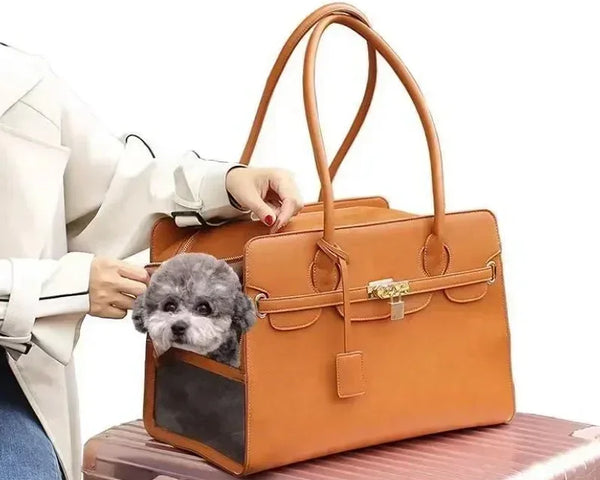 Outdoor Cat Dog Pet Bag Carrier Supplies Shoulder Handbag Backpack for Pets Puppy Kitten Luxury Fashion Accessories