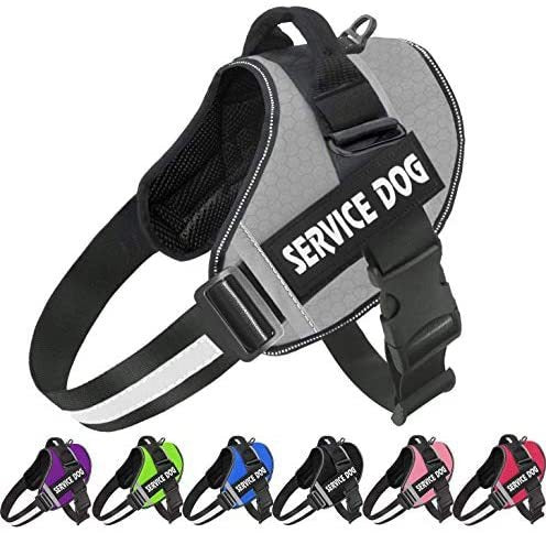 Reflective Pet Chest Harness — Comfort Edition
