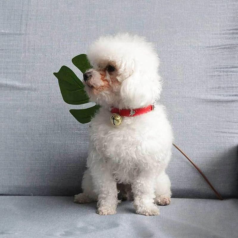 Pet Collar Bell Charm — Paw Edition