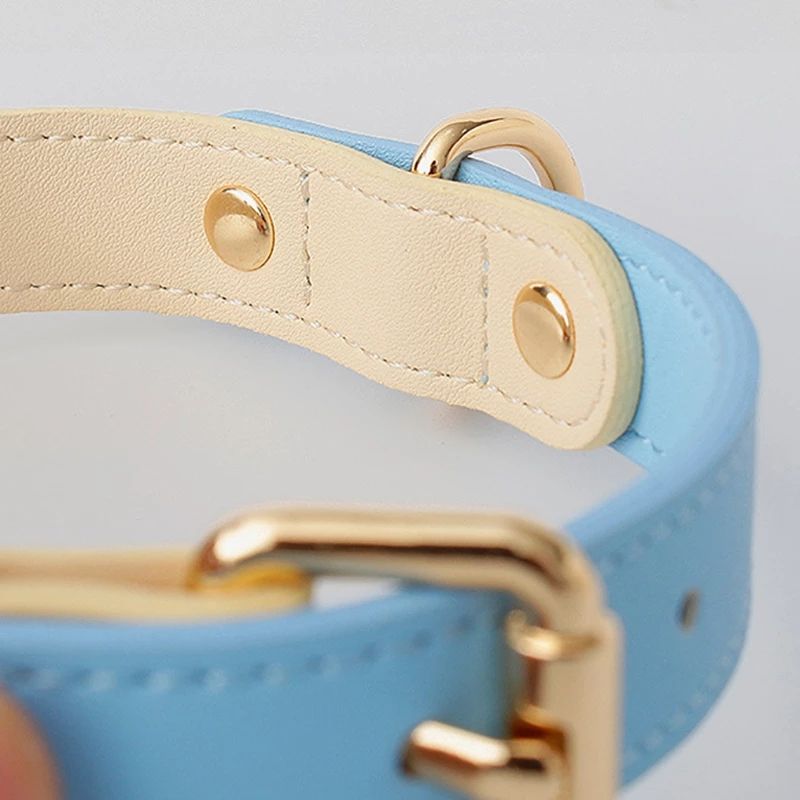 Genuine Leather Dog Leash — Classic Edition