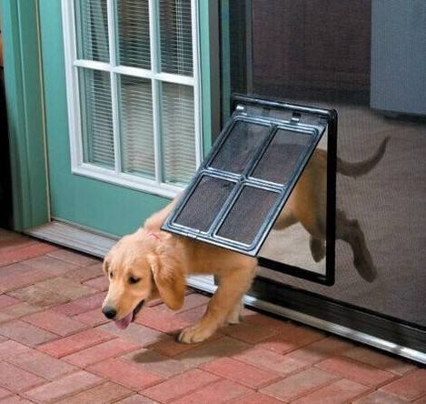 Pet screen door flap for cats and small dogs — main view — The Pet Society