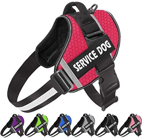 Reflective Pet Chest Harness — Comfort Edition