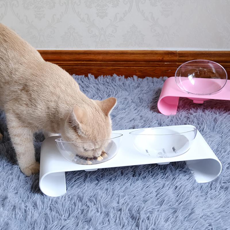 Cat Bowl — Ceramic Selection