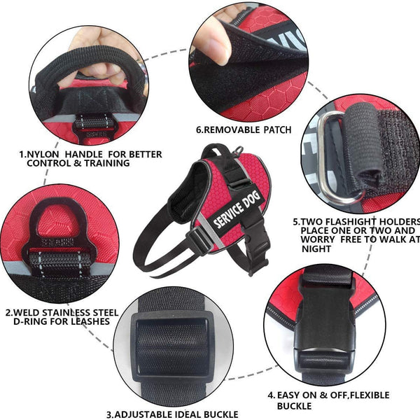 Reflective Pet Chest Harness — Comfort Edition