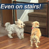 Pet Barrier black three-quarter view TPS