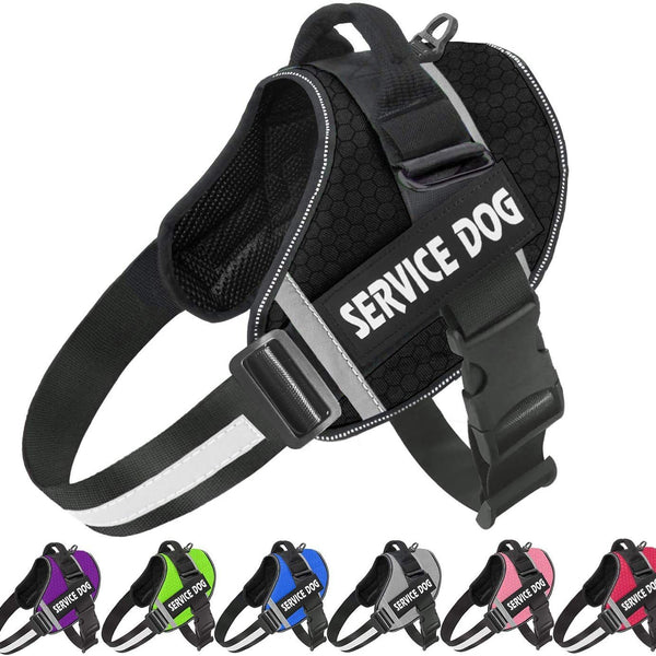 Reflective Pet Chest Harness — Comfort Edition