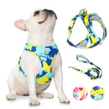 Dog Harness red three-quarter view TPS