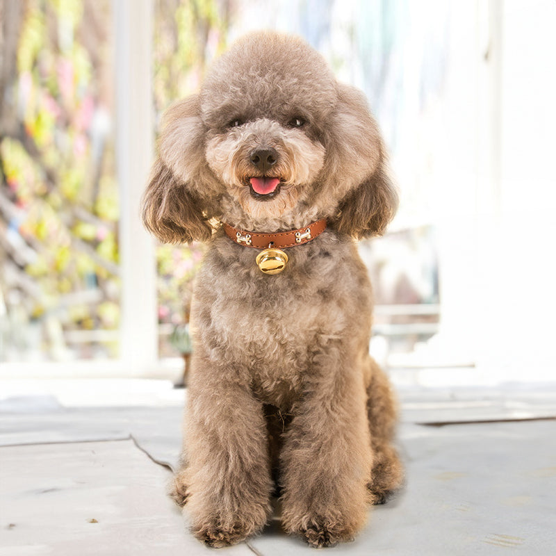 Pet Collar Bell Charm — Paw Edition