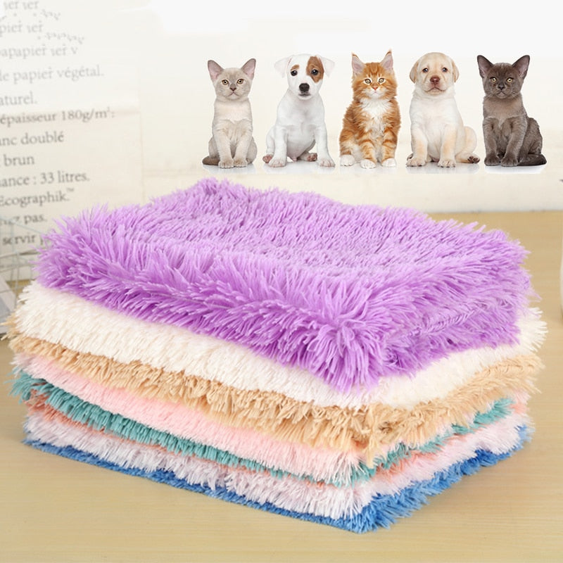 Pet Bed gray in-use scene TPS