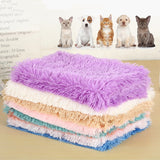 Pet Bed gray in-use scene TPS
