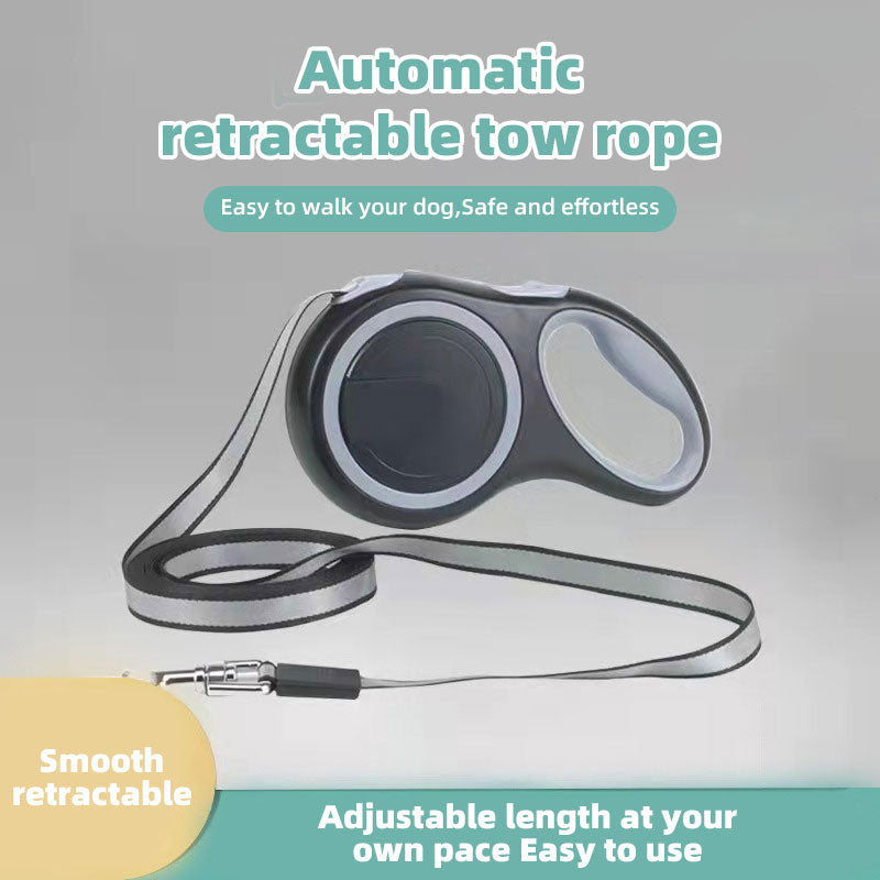 Retractable Dog Leash — Travel Edition