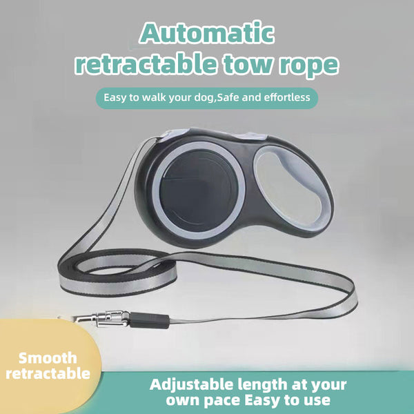 Retractable Dog Leash — Travel Edition