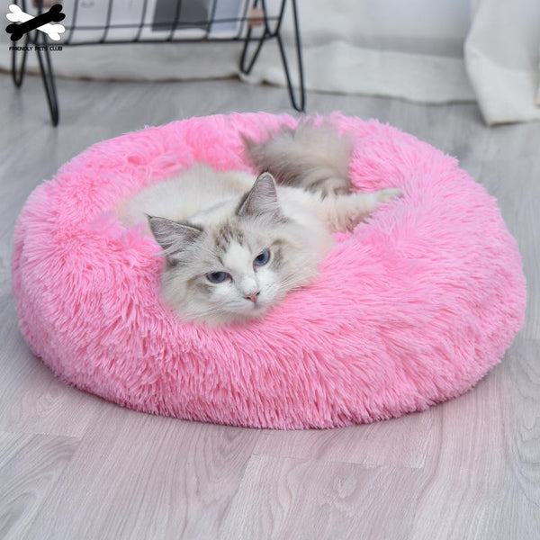 Cat Bed white texture close-up TPS