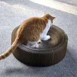 Pet Barrier texture close-up TPS