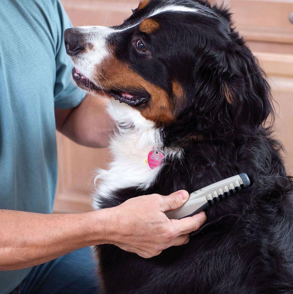 Electric Dematting Comb — Dog & Cat Grooming