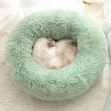 Cat Bed white full view light background TPS