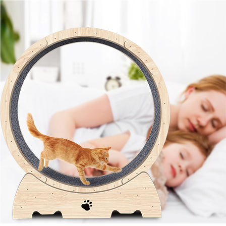 Natural wood cat running wheel anti paw-pinch gap — The Pet Society