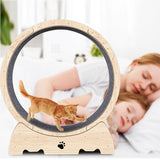 Natural wood cat running wheel anti paw-pinch gap — The Pet Society
