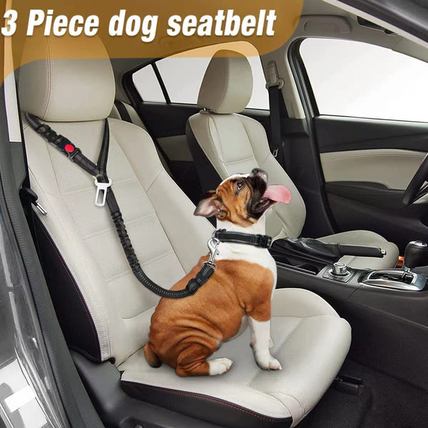 Dog Seat Belt black three-quarter view TPS