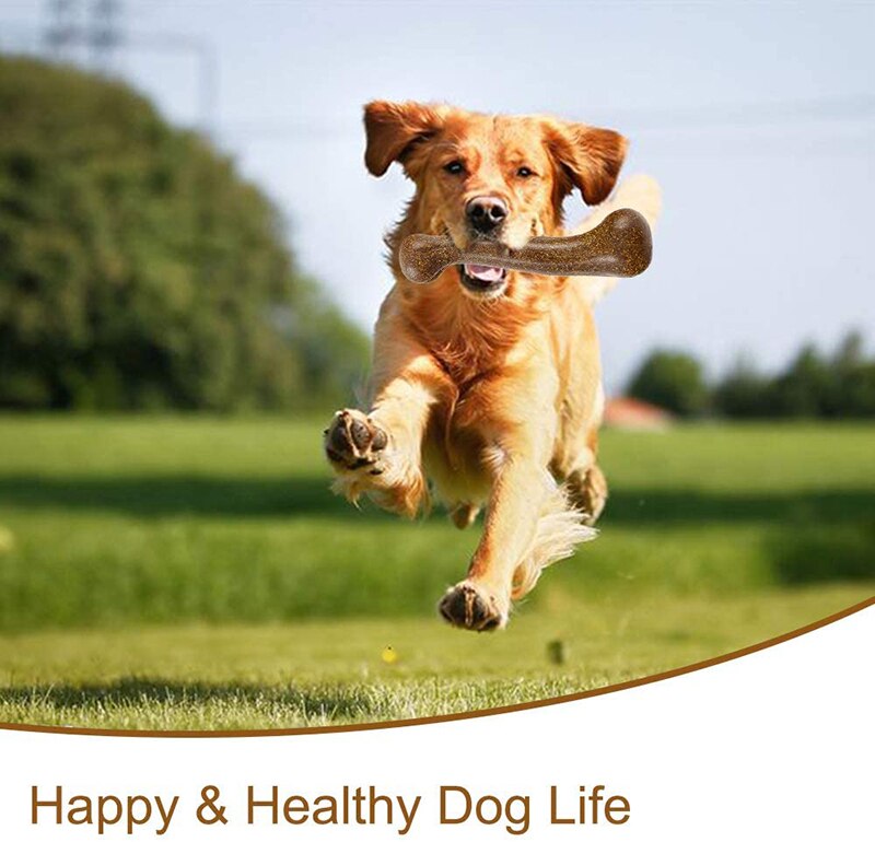 Dental Bone Chew Toy — Molar & Teeth Cleaning