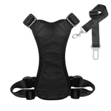 Dog Seat Belt — Black Edition, angle 4 — The Pet Society