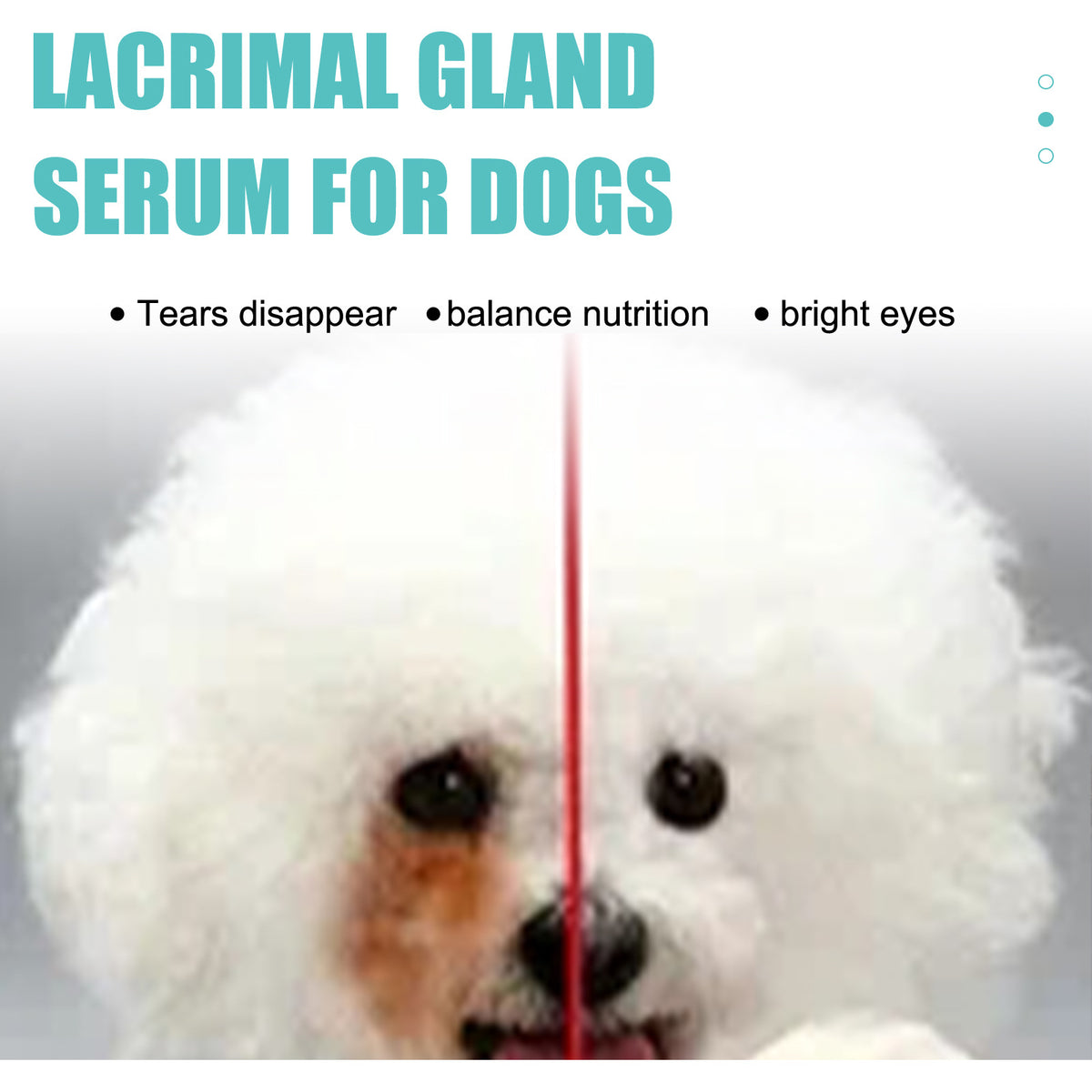 Tear Stain Serum — Topical Eye Treatment