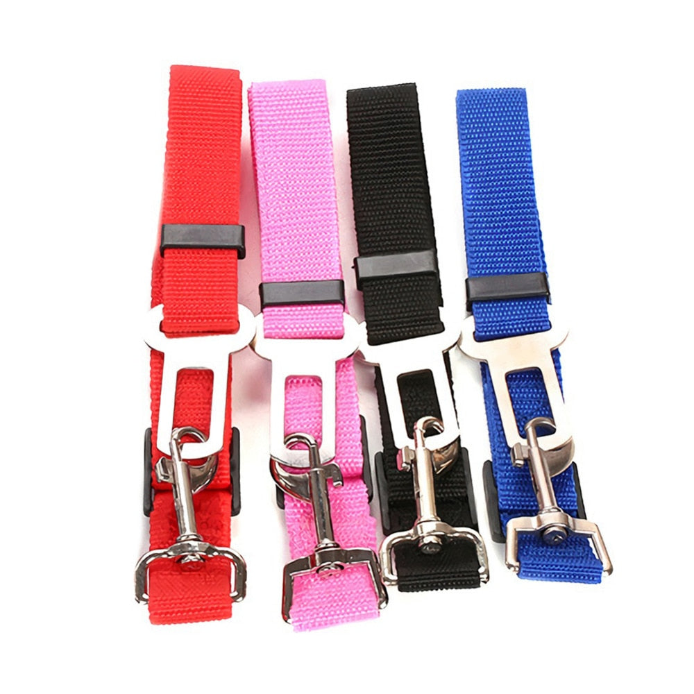 Dog Seat Belt black in-use scene TPS