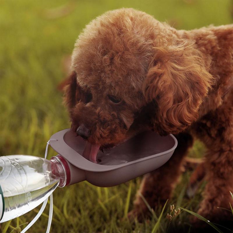 Pet Feeder coffee full view light background TPS