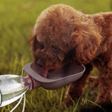 Pet Feeder coffee full view light background TPS