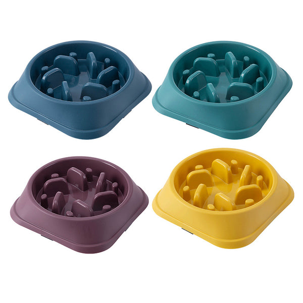 Anti-Choke Slow Feeder Bowl