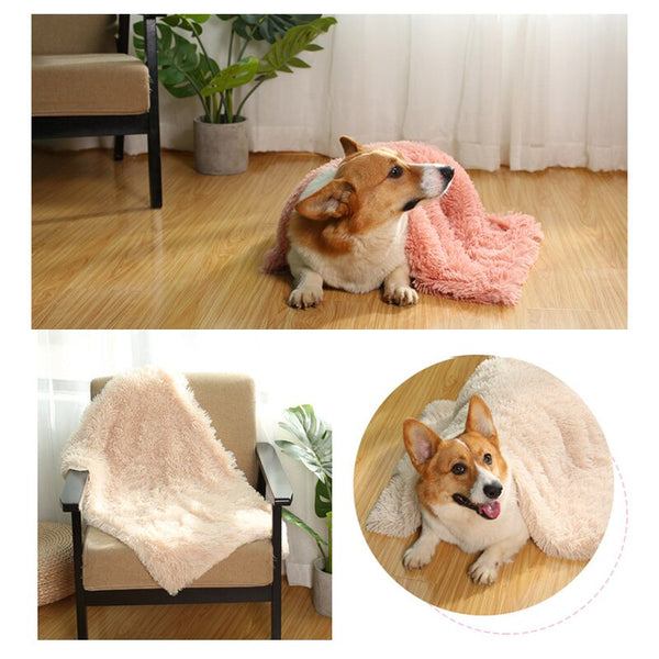Pet Bed gray texture close-up TPS